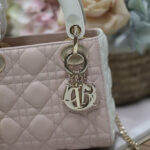 Christian Dior Mini Lady Dior Bag